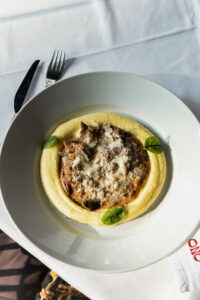 Beef Stroganoff with Potato Purée